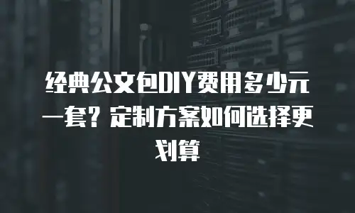 经典公文包DIY费用多少元一套？定制方案如何选择更划算