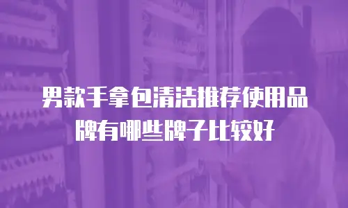 男款手拿包清洁推荐使用品牌有哪些牌子比较好