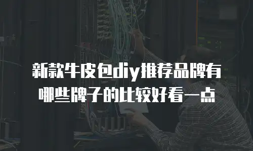 新款牛皮包diy推荐品牌有哪些牌子的比较好看一点