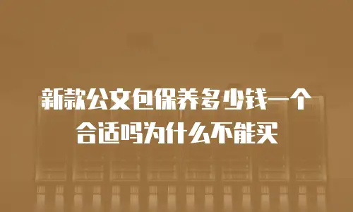 新款公文包保养多少钱一个合适吗为什么不能买