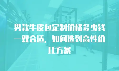 男款牛皮包定制价格多少钱一双合适，如何选到高性价比方案