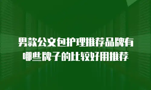 男款公文包护理推荐品牌有哪些牌子的比较好用推荐
