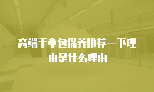高端手拿包保养推荐一下理由是什么理由