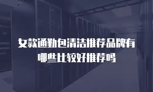 女款通勤包清洁推荐品牌有哪些比较好推荐吗