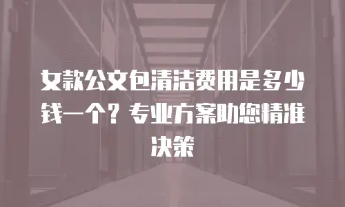 女款公文包清洁费用是多少钱一个？专业方案助您精准决策