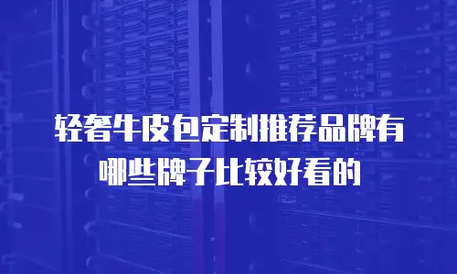 轻奢牛皮包定制推荐品牌有哪些牌子比较好看的