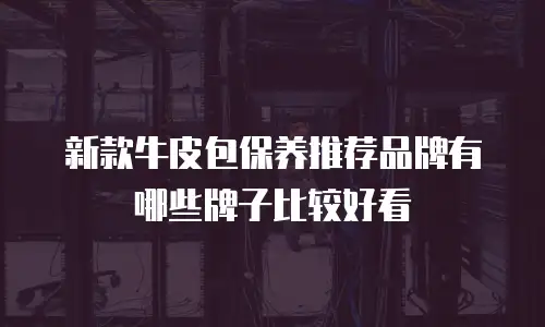 新款牛皮包保养推荐品牌有哪些牌子比较好看