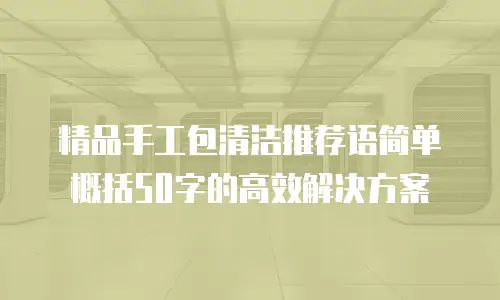 精品手工包清洁推荐语简单概括50字的高效解决方案