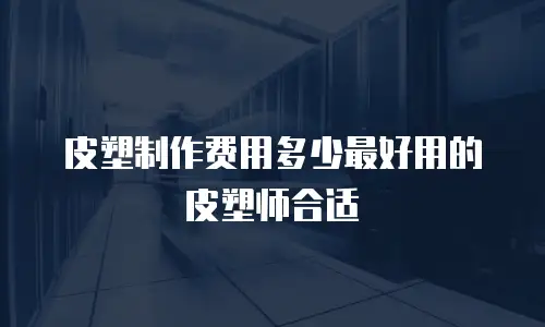 皮塑制作费用多少最好用的皮塑师合适