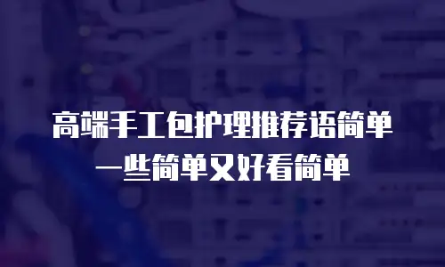 高端手工包护理推荐语简单一些简单又好看简单