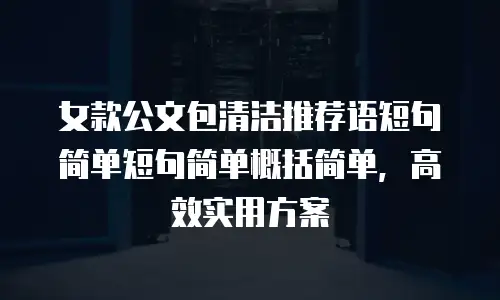 女款公文包清洁推荐语短句简单短句简单概括简单，高效实用方案