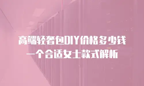 高端轻奢包DIY价格多少钱一个合适女士款式解析