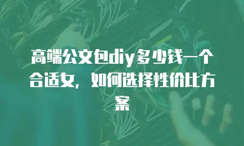 高端公文包diy多少钱一个合适女，如何选择性价比方案