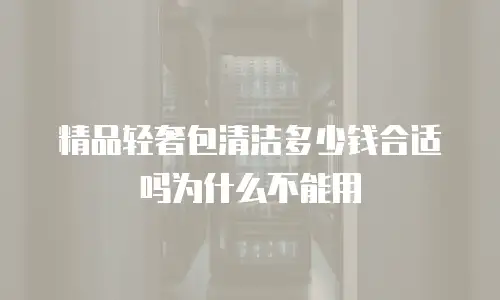 精品轻奢包清洁多少钱合适吗为什么不能用