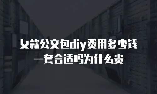 女款公文包diy费用多少钱一套合适吗为什么贵