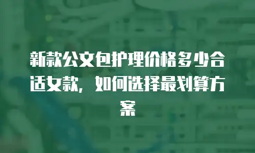 新款公文包护理价格多少合适女款，如何选择最划算方案
