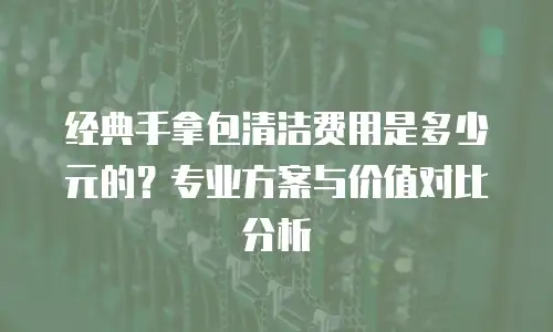 经典手拿包清洁费用是多少元的？专业方案与价值对比分析