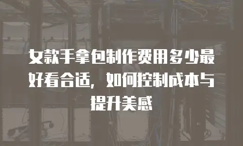 女款手拿包制作费用多少最好看合适，如何控制成本与提升美感