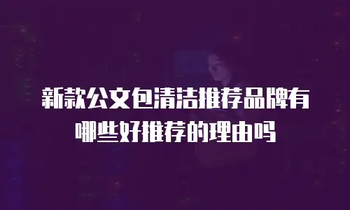 新款公文包清洁推荐品牌有哪些好推荐的理由吗