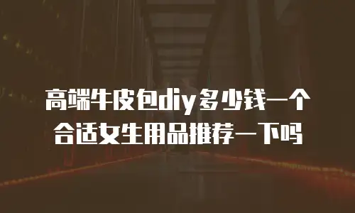 高端牛皮包diy多少钱一个合适女生用品推荐一下吗