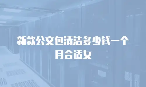 新款公文包清洁多少钱一个月合适女