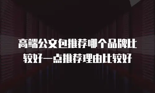 高端公文包推荐哪个品牌比较好一点推荐理由比较好