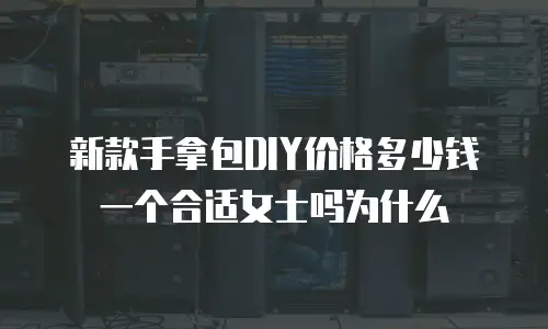 新款手拿包DIY价格多少钱一个合适女士吗为什么