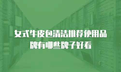 女式牛皮包清洁推荐使用品牌有哪些牌子好看