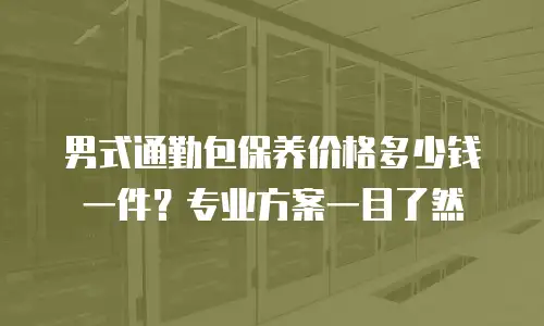 男式通勤包保养价格多少钱一件？专业方案一目了然