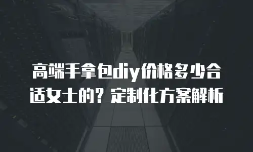 高端手拿包diy价格多少合适女士的？定制化方案解析