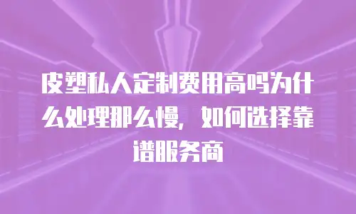 皮塑私人定制费用高吗为什么处理那么慢，如何选择靠谱服务商
