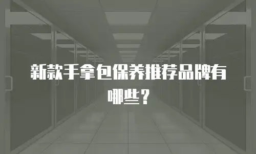 新款手拿包保养推荐品牌有哪些？