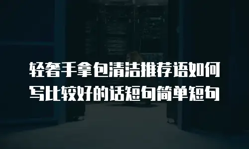 轻奢手拿包清洁推荐语如何写比较好的话短句简单短句