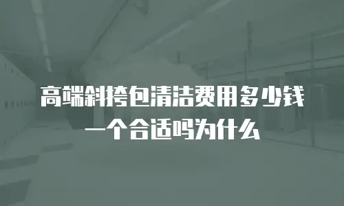 高端斜挎包清洁费用多少钱一个合适吗为什么