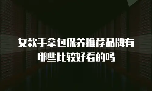 女款手拿包保养推荐品牌有哪些比较好看的吗