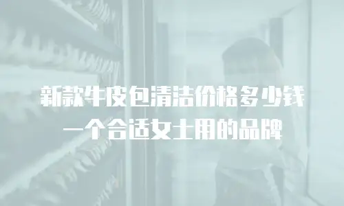 新款牛皮包清洁价格多少钱一个合适女士用的品牌