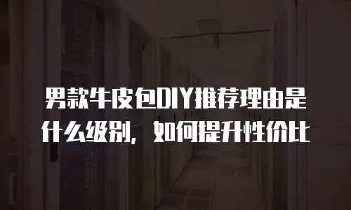 男款牛皮包DIY推荐理由是什么级别，如何提升性价比