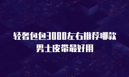 轻奢包包3000左右推荐哪款男士皮带最好用