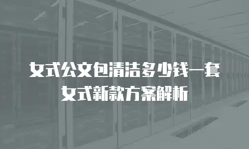 女式公文包清洁多少钱一套女式新款方案解析