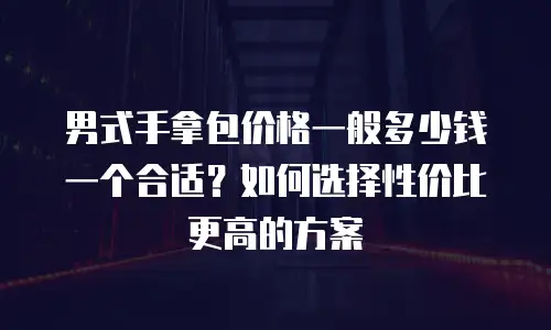 男式手拿包价格一般多少钱一个合适？如何选择性价比更高的方案