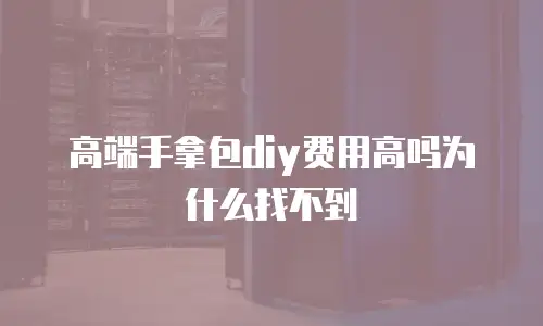 高端手拿包diy费用高吗为什么找不到