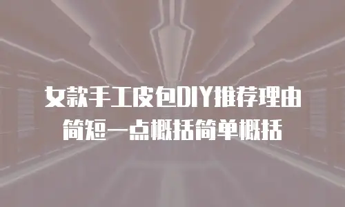 女款手工皮包DIY推荐理由简短一点概括简单概括
