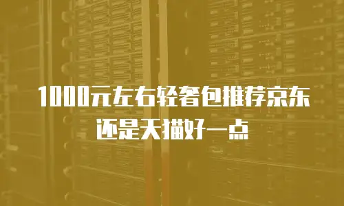 1000元左右轻奢包推荐京东还是天猫好一点