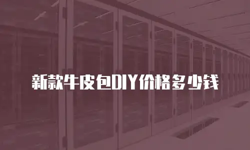 新款牛皮包DIY价格多少钱