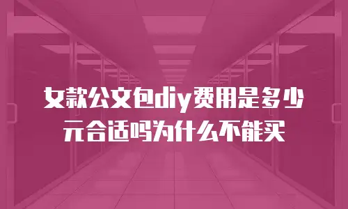 女款公文包diy费用是多少元合适吗为什么不能买
