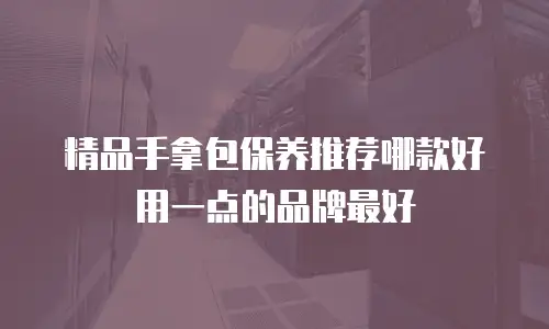 精品手拿包保养推荐哪款好用一点的品牌最好