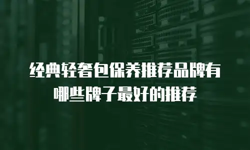 经典轻奢包保养推荐品牌有哪些牌子最好的推荐