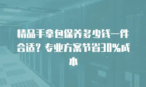 精品手拿包保养多少钱一件合适？专业方案节省30%成本