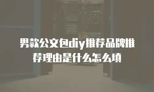 男款公文包diy推荐品牌推荐理由是什么怎么填