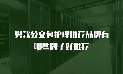 男款公文包护理推荐品牌有哪些牌子好推荐